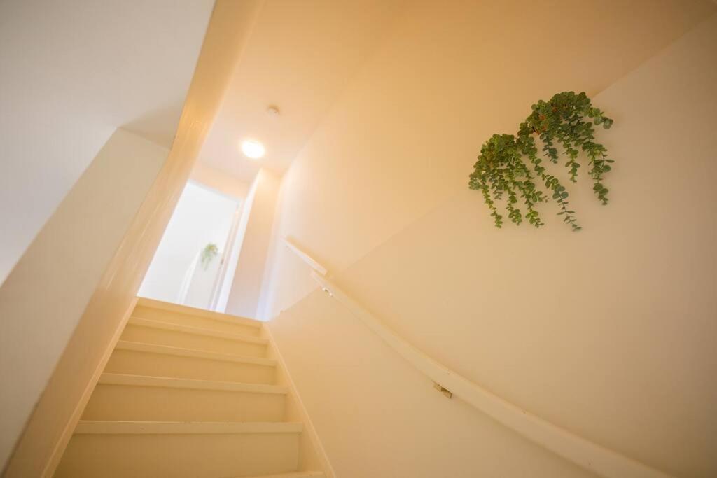 Lovely 3 Bedroom Apartment In Eindhoven 65M2 - Sd23N Екстер'єр фото